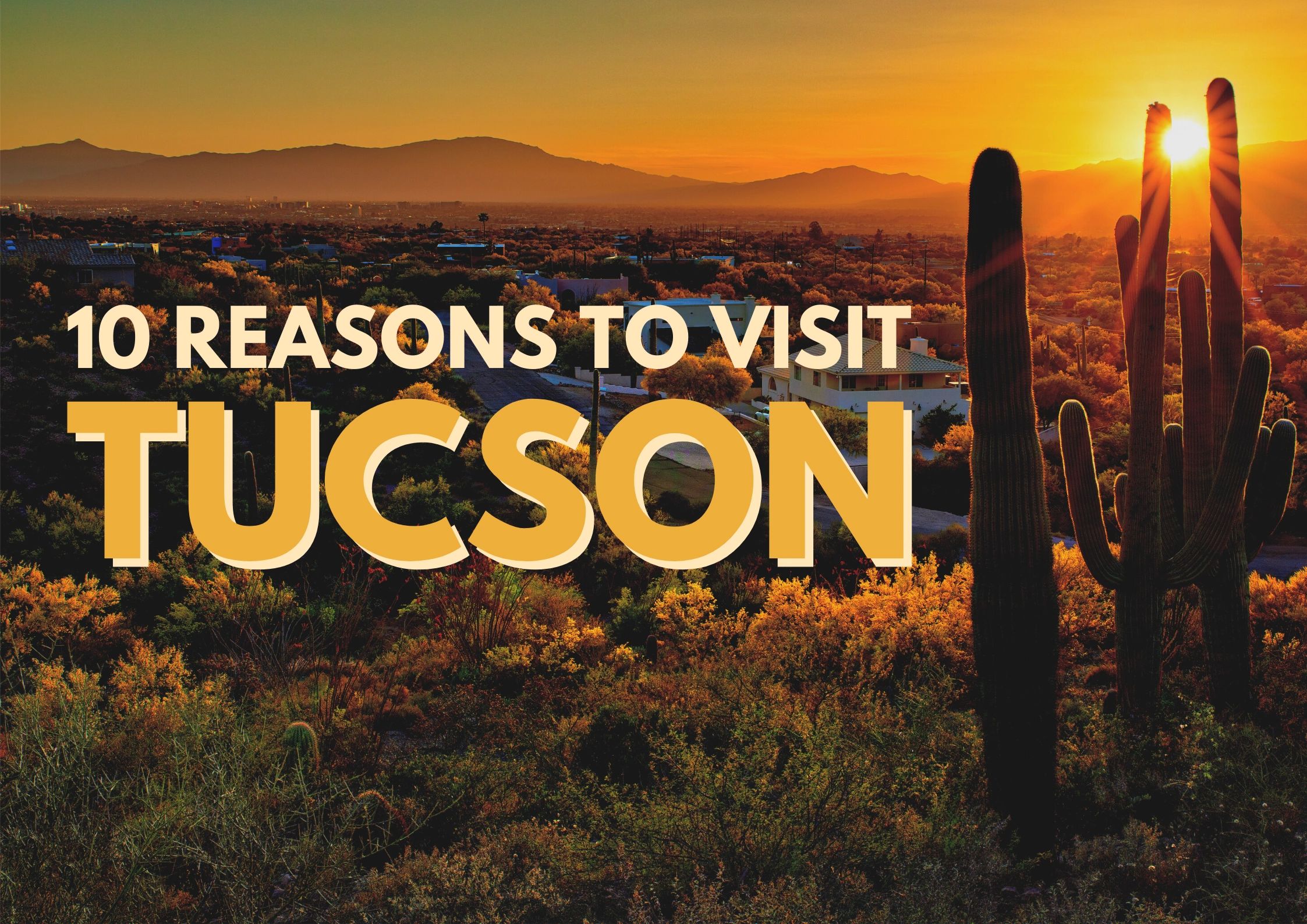 visit tucson partners